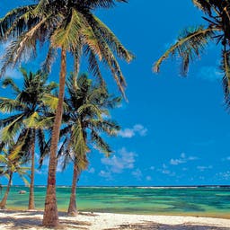 Hotels auf Guadeloupe