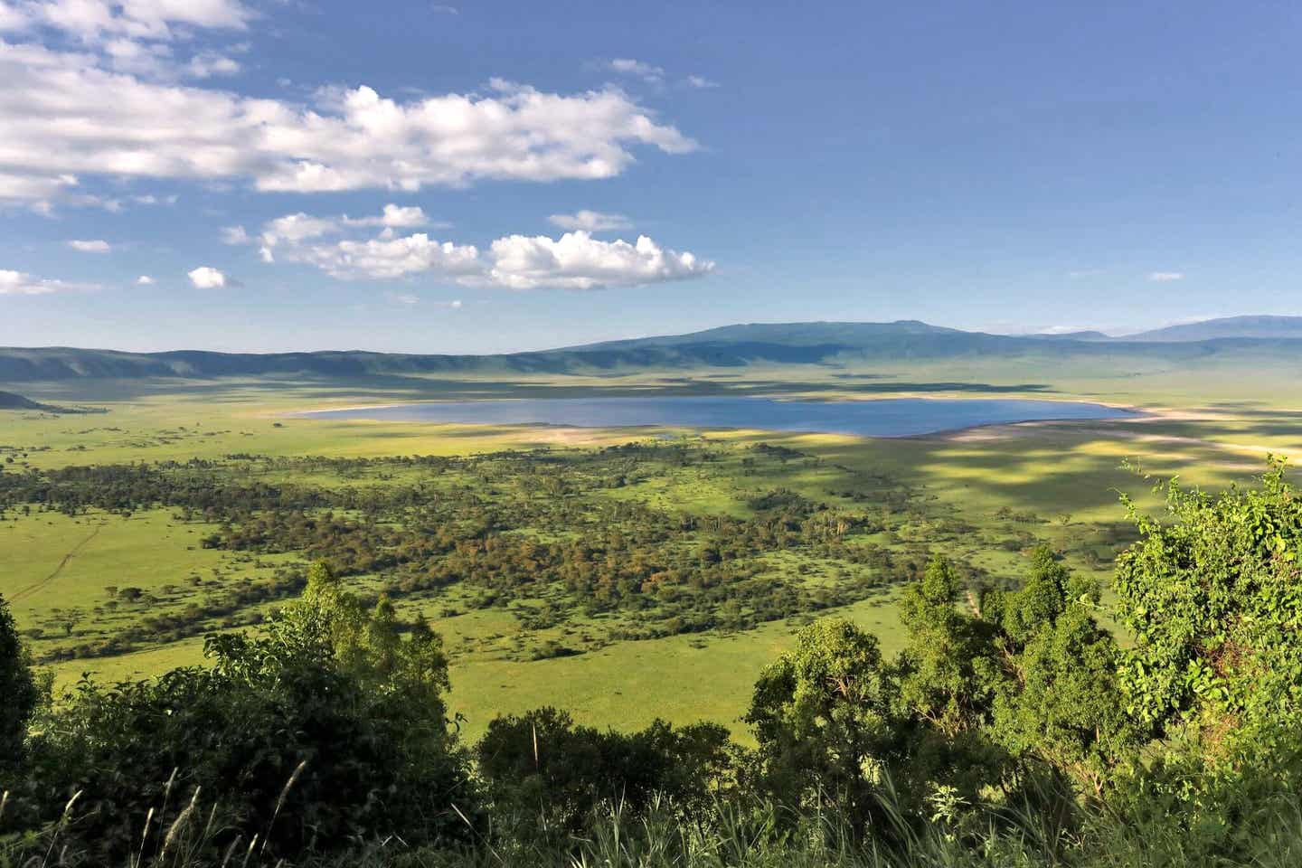 Unterwegs auf Afrika-Safari