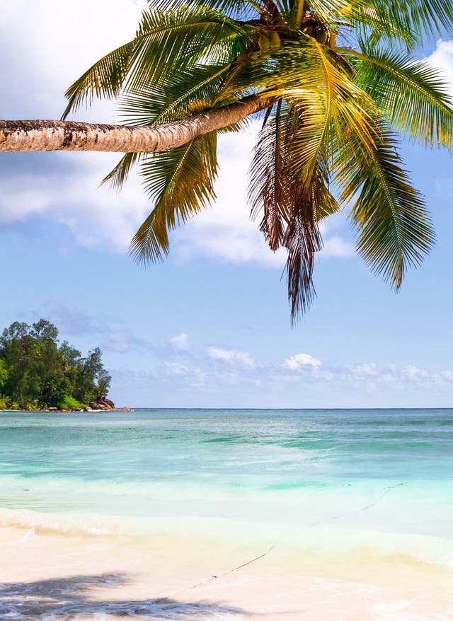 Beste Reisezeit Mauritius