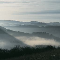 deutschland-rheinland-pfalz-eifel-huegel-nebel-g-1466969061.jpg