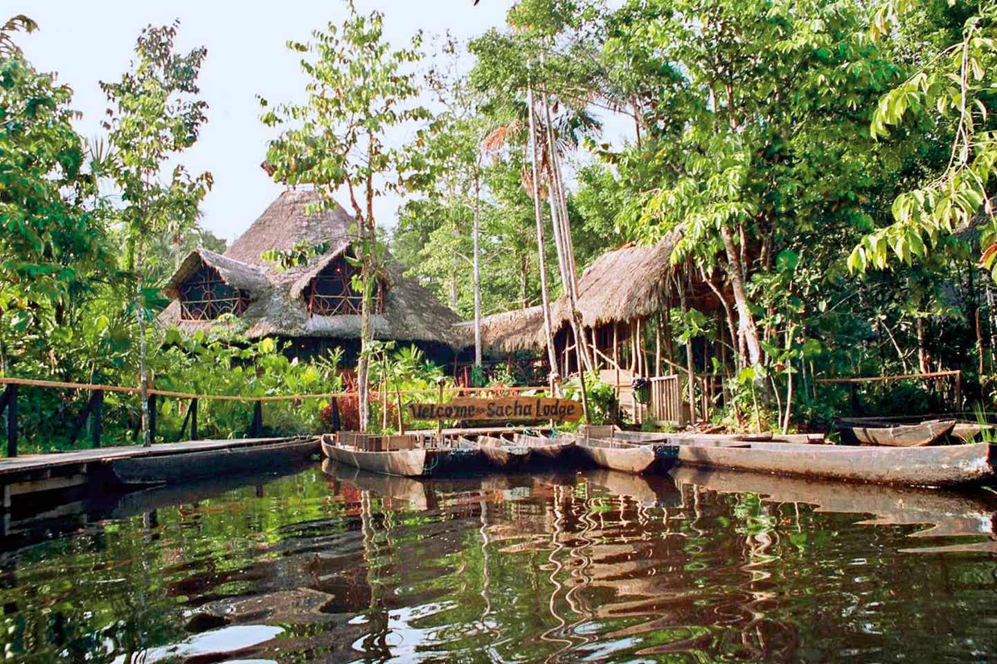 Sacha Lodge