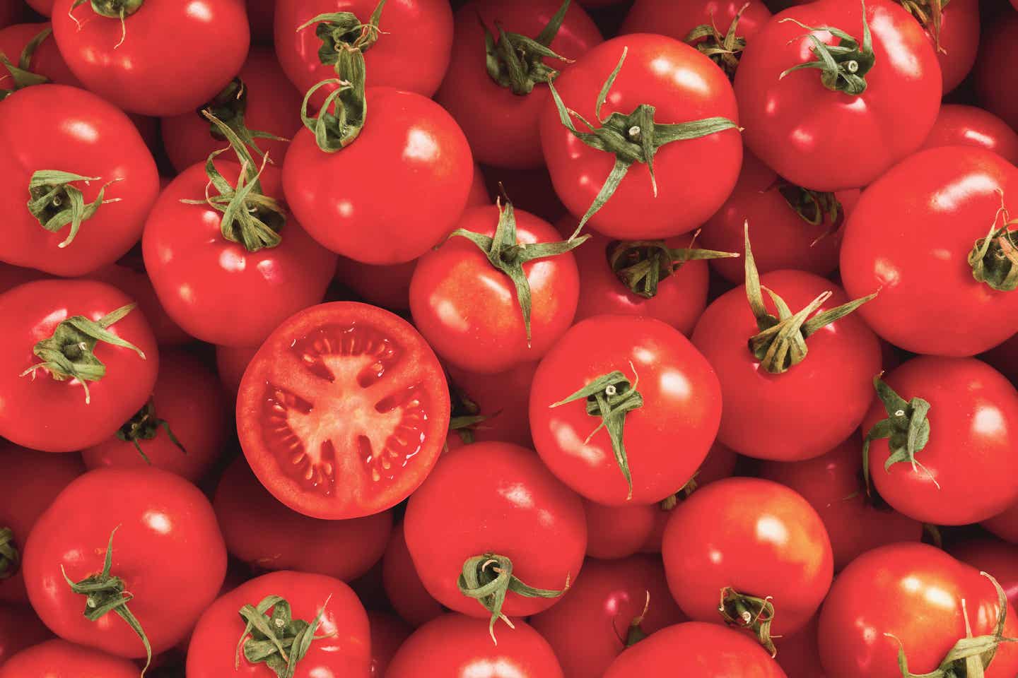 Blick auf viele rote Tomaten