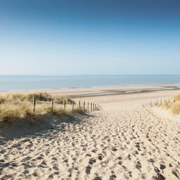 Hotels in Noordwijk