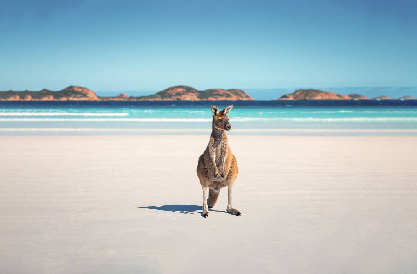 Australien – ein Strand bei Adelaide