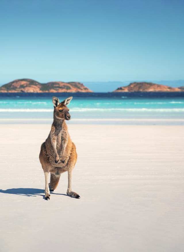 Australien Urlaub Australien – ein Strand bei Adelaide