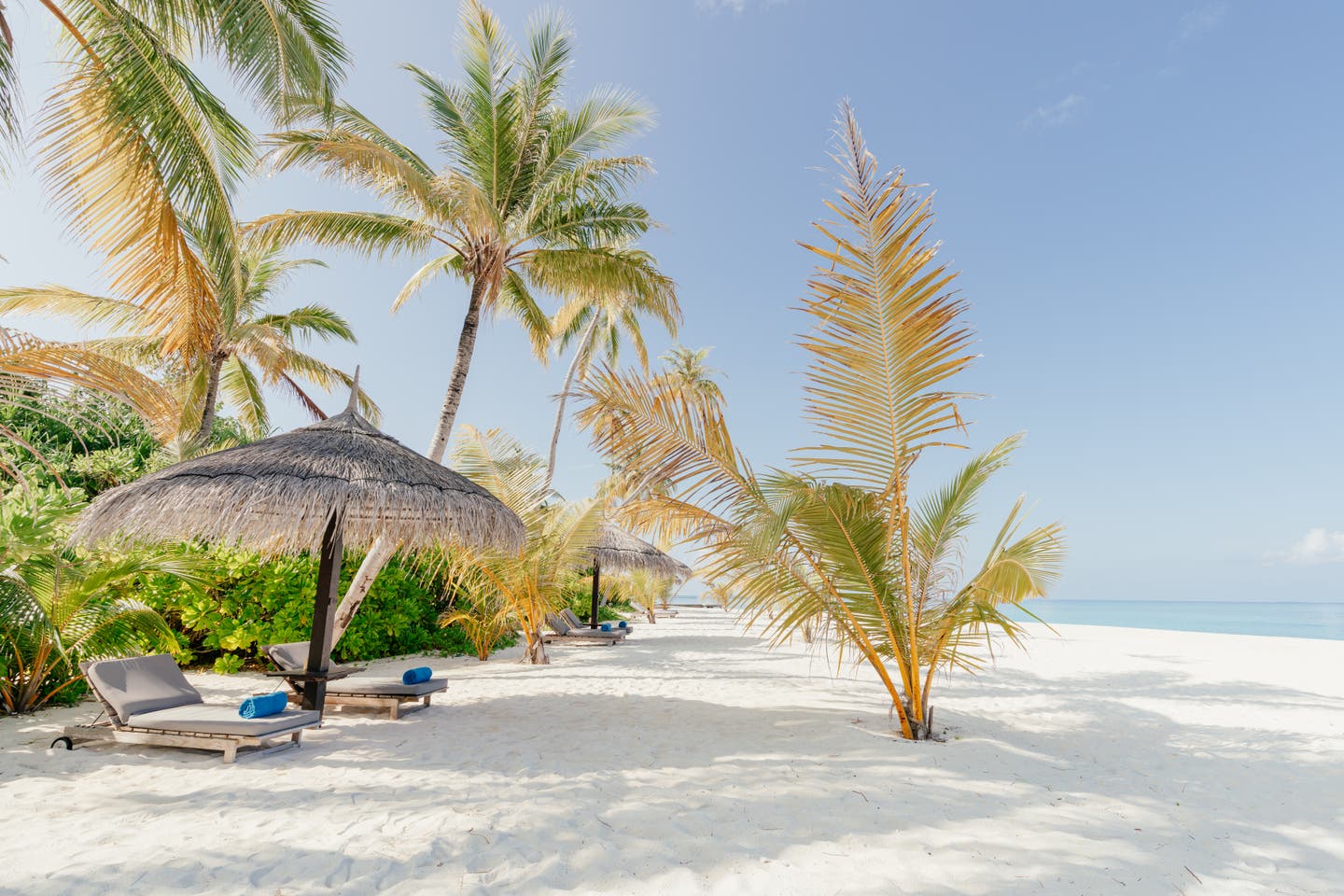 Strand mit Palmen