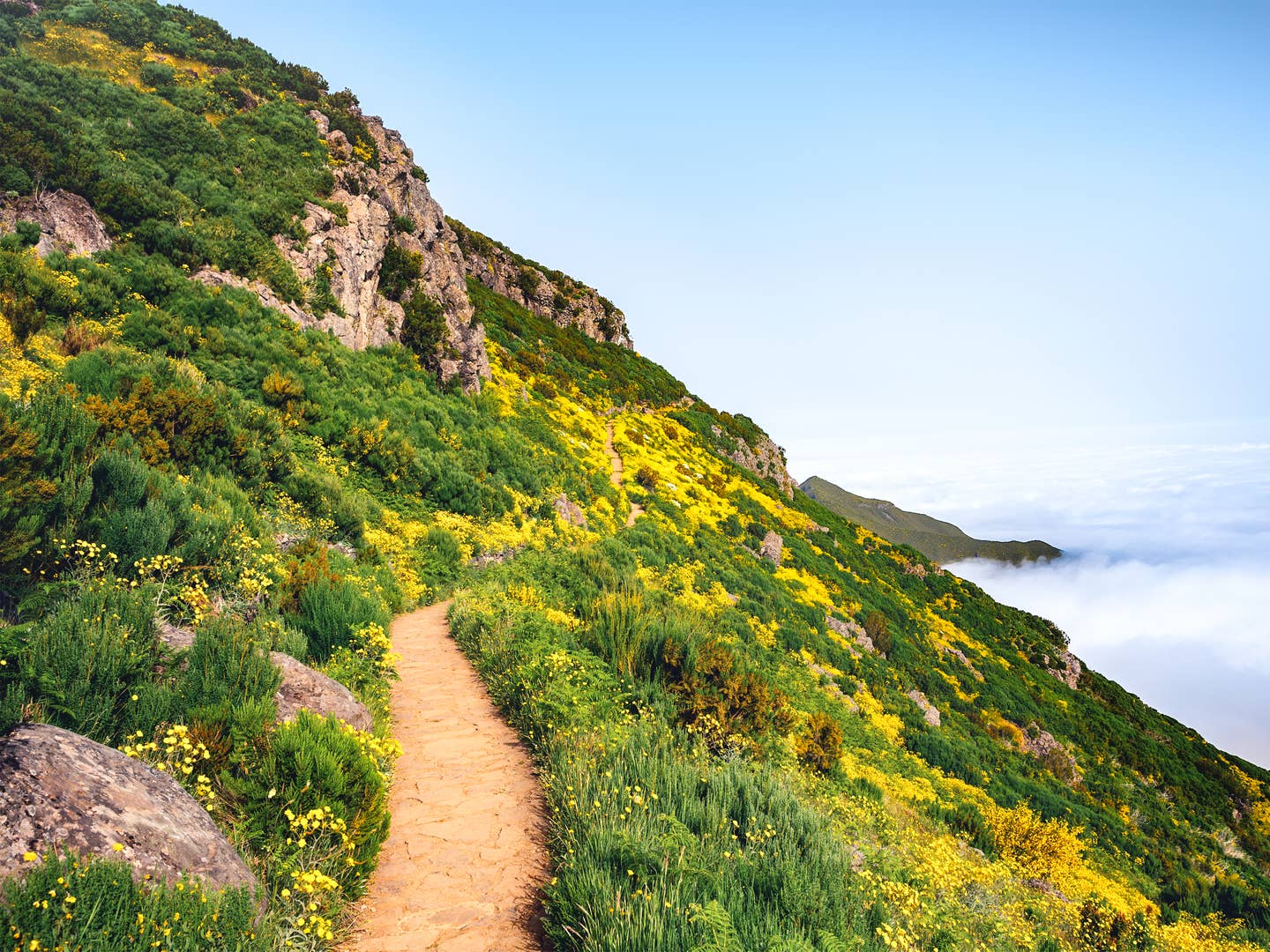 Blick auf den Wanderweg zum Pico Ruivo, Gras mit gelben Blumen am Wegesrand, Nebel im Tal