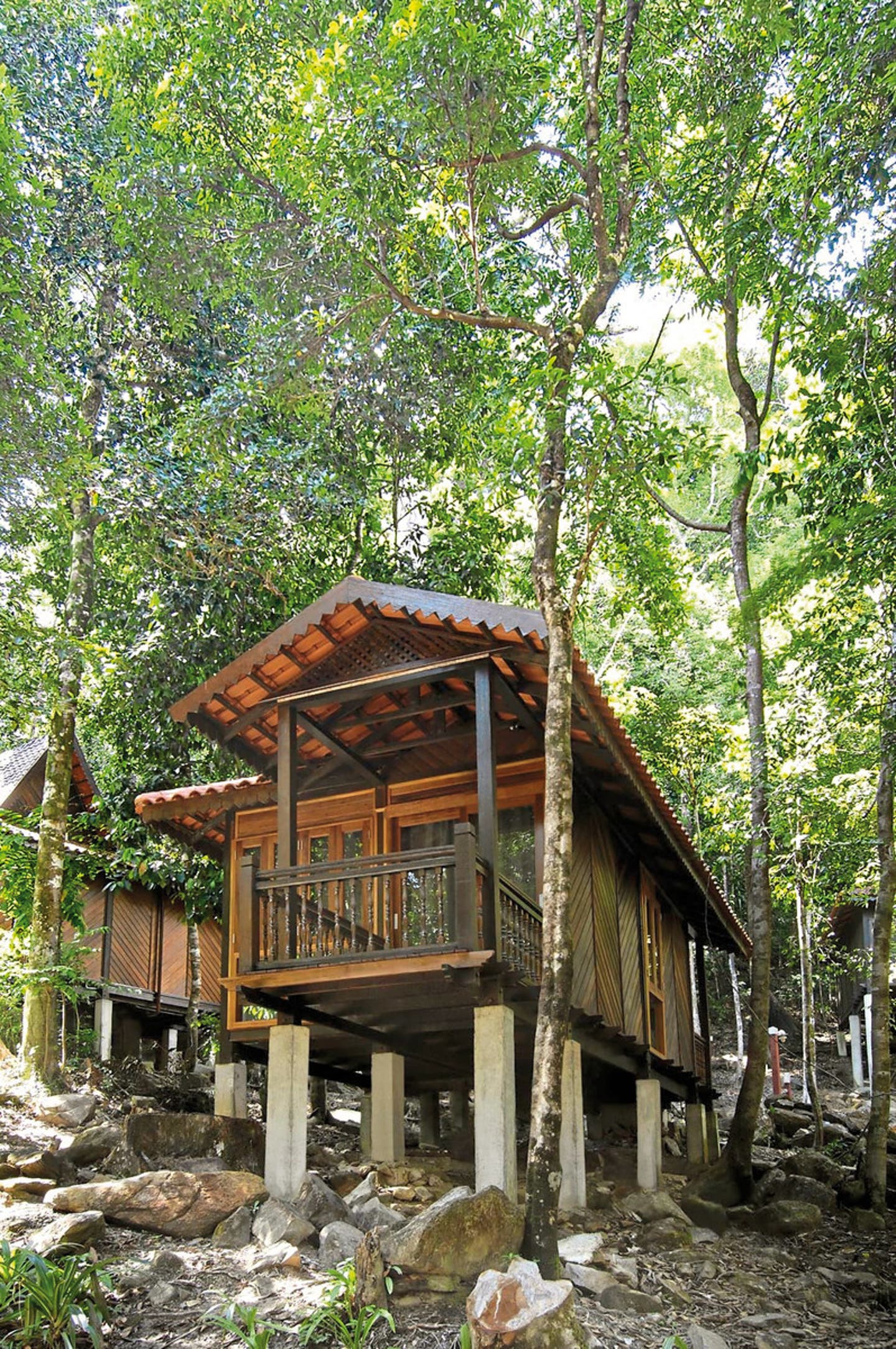 Wohnbeispiel Rainforest Chalet