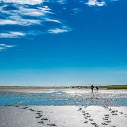 wattenmeer-g-1083291752.jpg