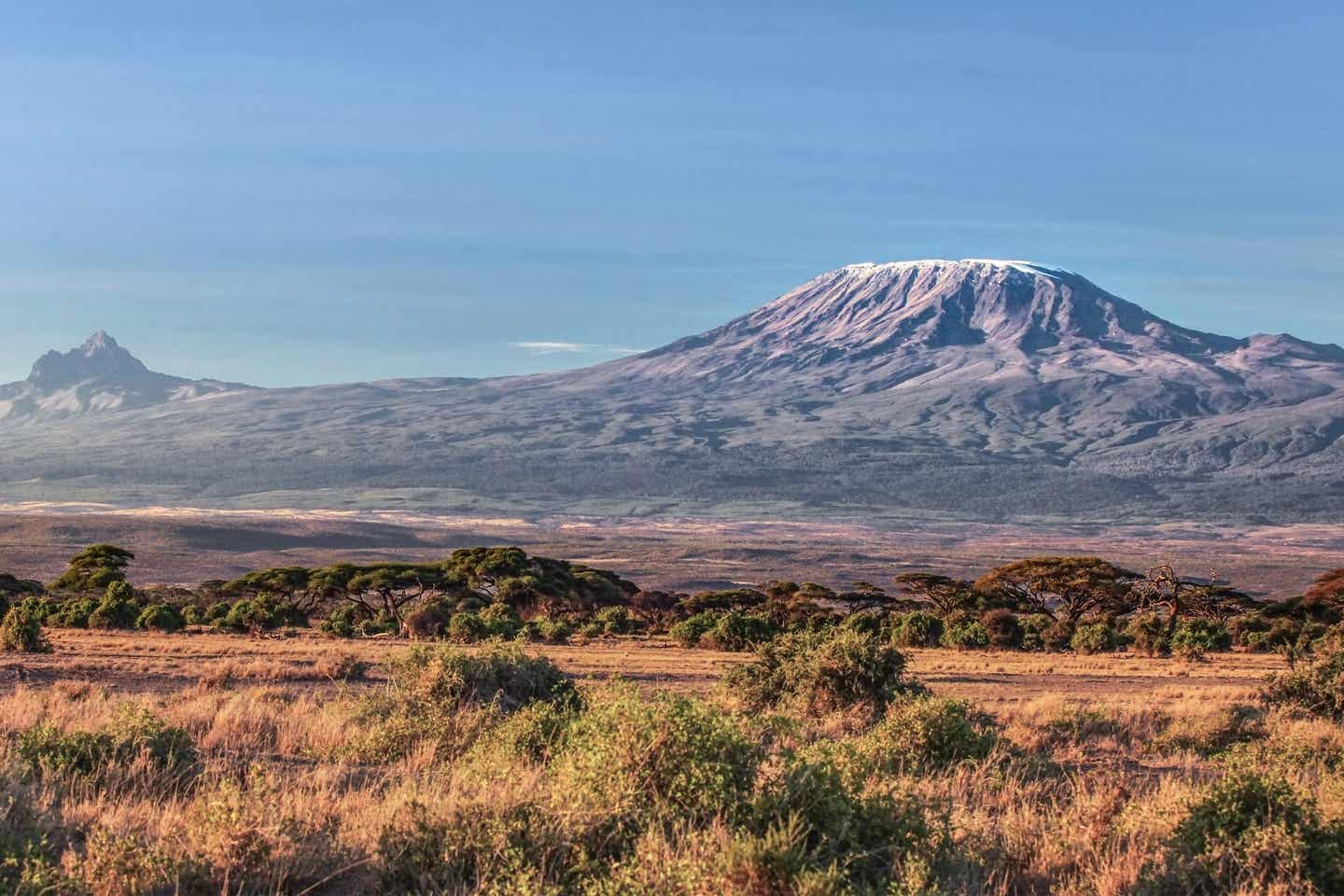 Blick über die Trockensavanne mit dem Berg Kilimandscharo im Hintergrund