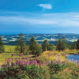 Hotel Bayerische Wald