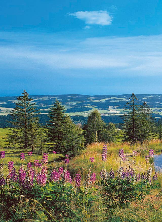 Hotels buchen Bayerischer Wald mit See