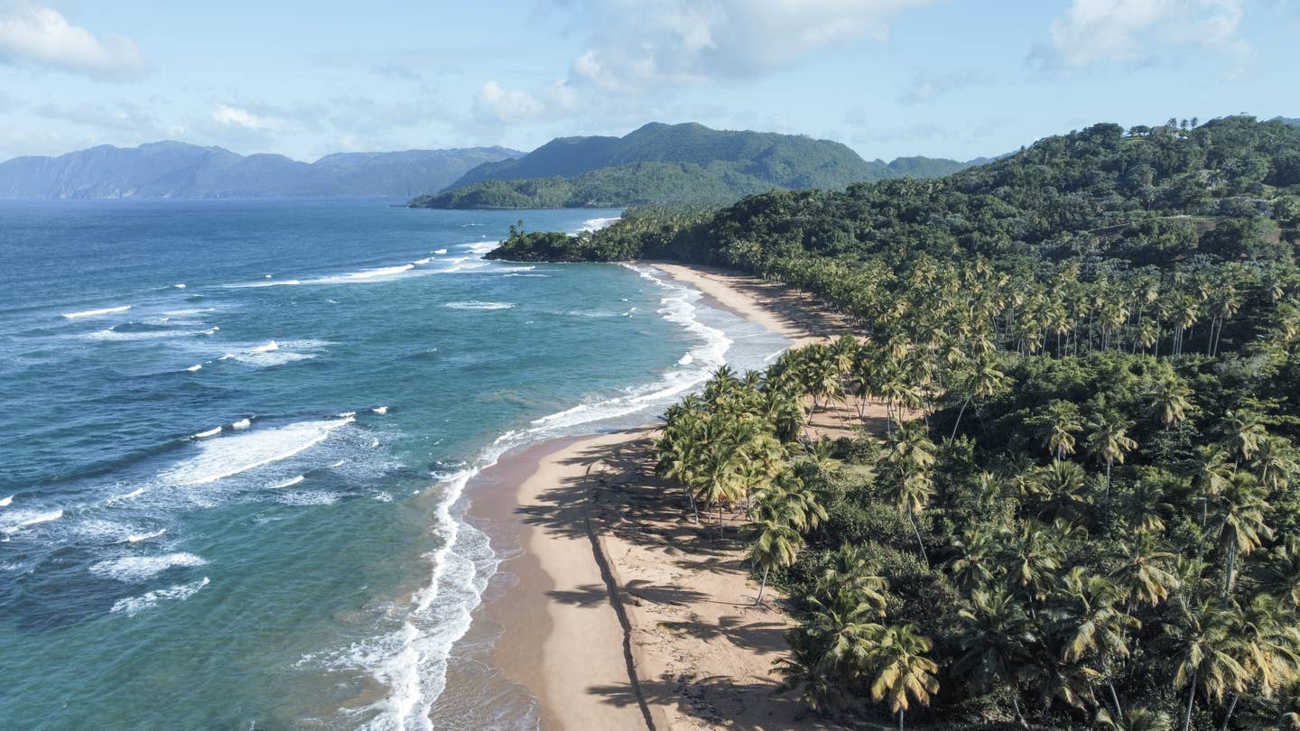 Samana Urlaub mit DERTOUR. Luftaufnahme der Küste Samanas mit langem Strand, Palmen und tropischem Wald