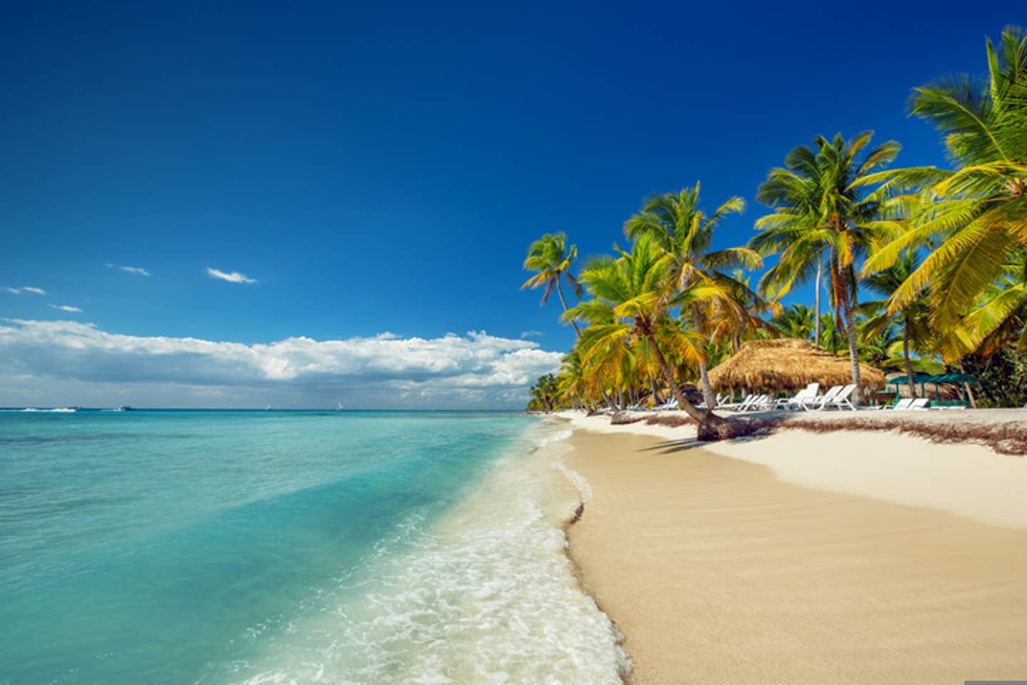 Rundreisen Dominikanische Republik: heller Sandstrand, türkisblaues Wasser und Palmen an einem Strand der Dominikanischen Republik