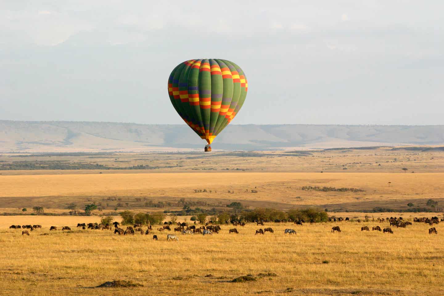 Kenia beste Reisezeit. Heißluftballon in Masai Mara