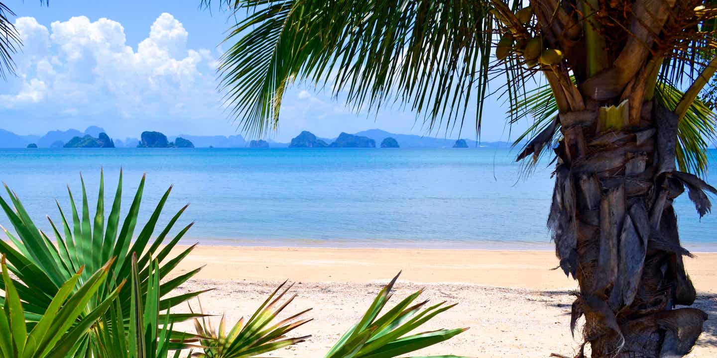 Blick durch die Palmen auf die Bucht von Koh Yao Noi