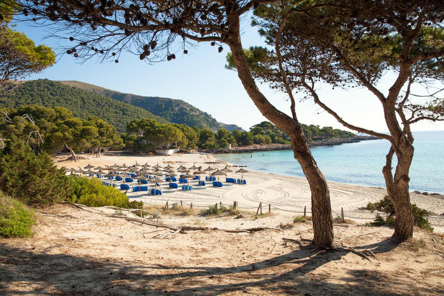 Mallorca im Juli: Spaniens schönste Strände bei Traumtemperaturen