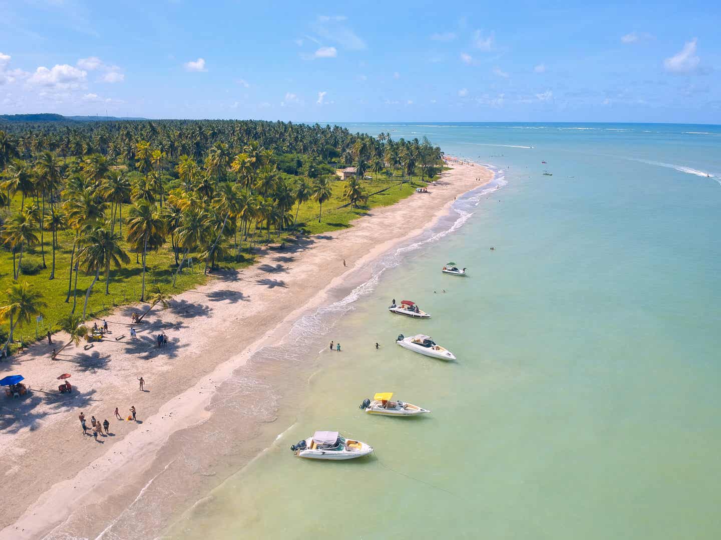 Strände Brasiliens: Luftaufnahme vom Maragogi Strand