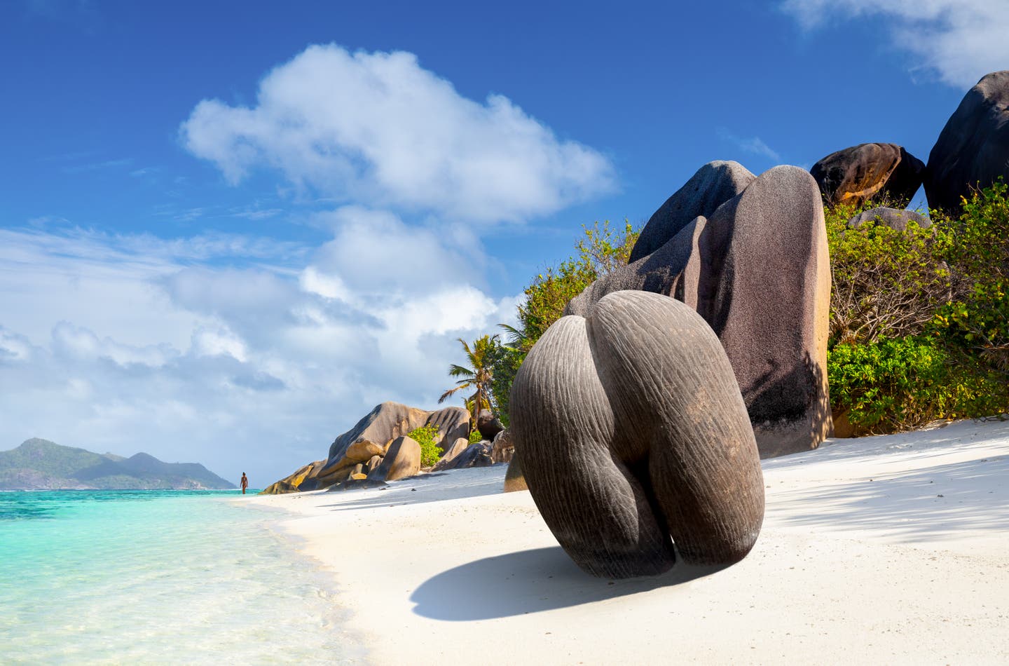 Die größte Nuss der Welt am Strand Anse Lazio auf den Seychellen