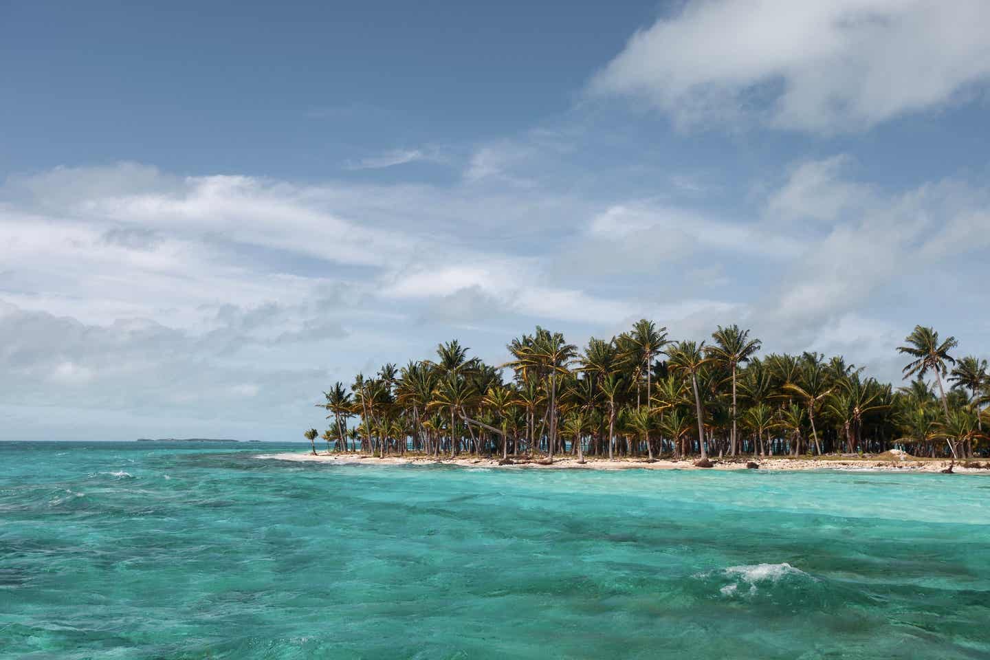 Strand, Meer und Palmen auf den Bahamas in der Karibik