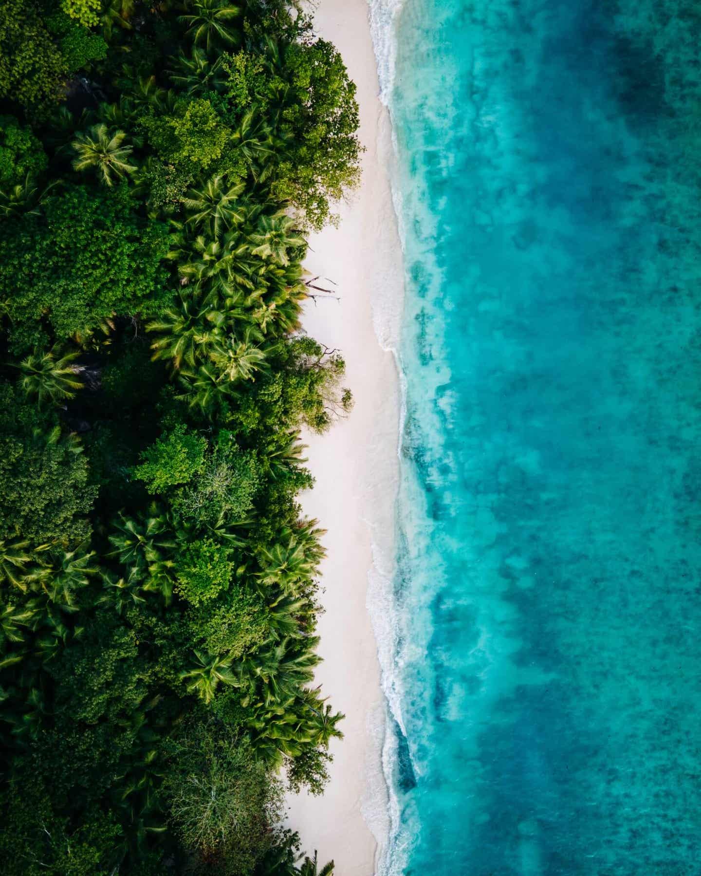 Seychellen Strandhochzeit Silhouette Strand