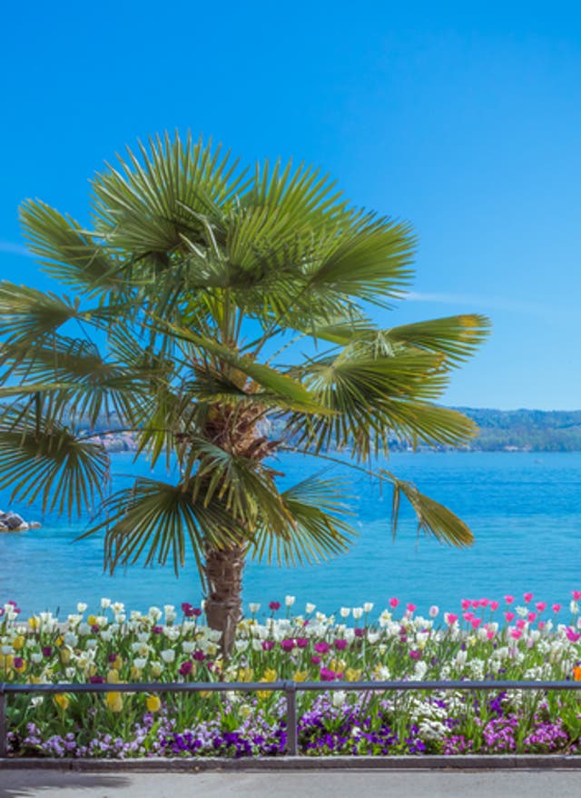 Radtour Bodensee: die Top-4-Radwege