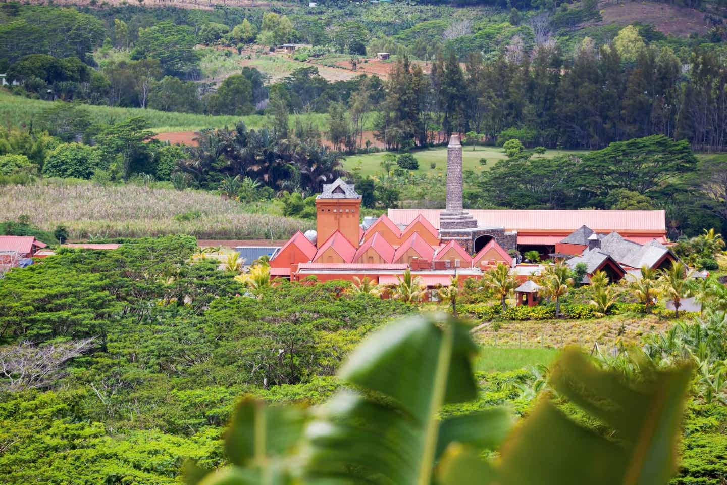 Mauritius Insider Tipps: Rumbrauerei Rhumerie de Chamarel