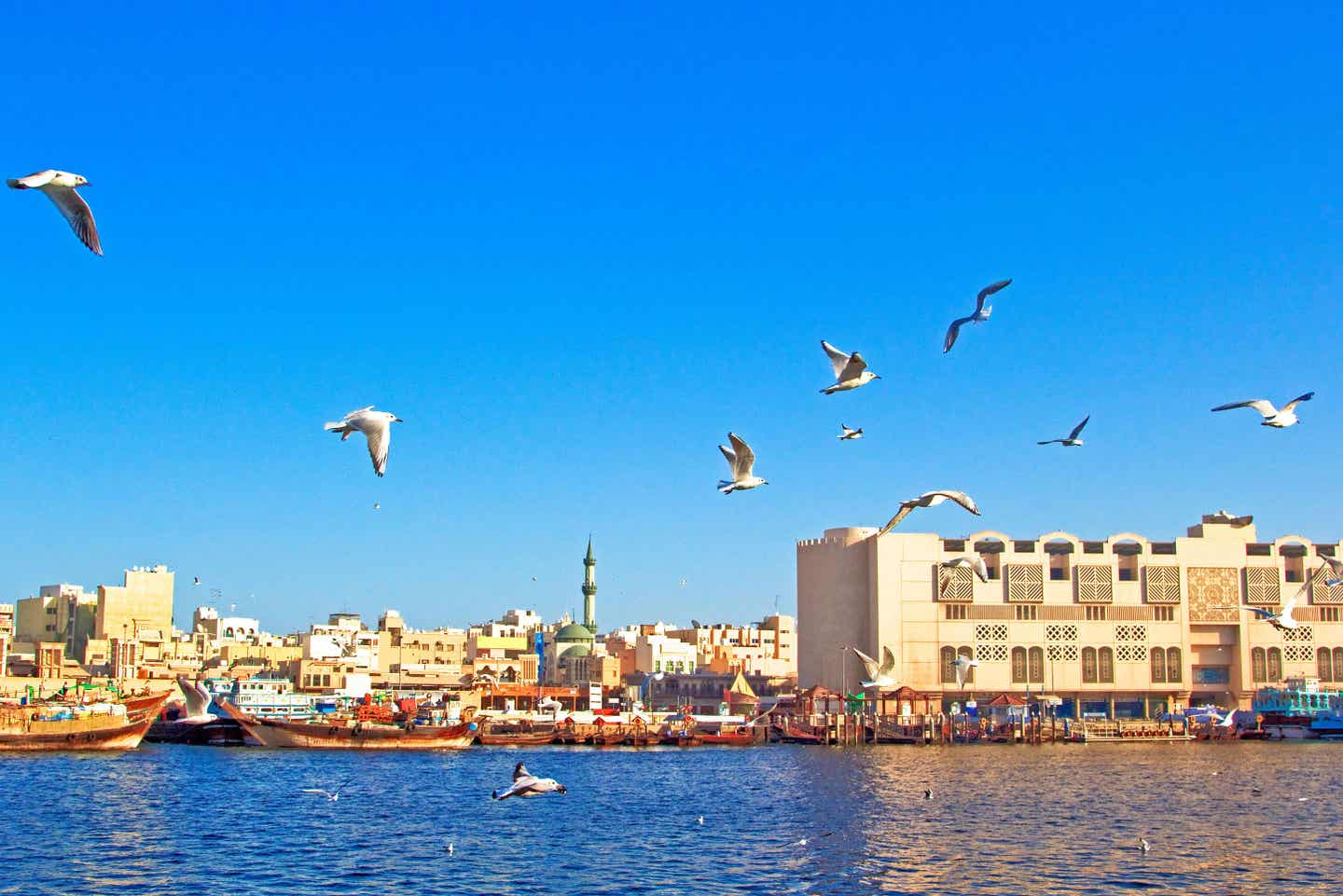 Ufer des Dubai Creek