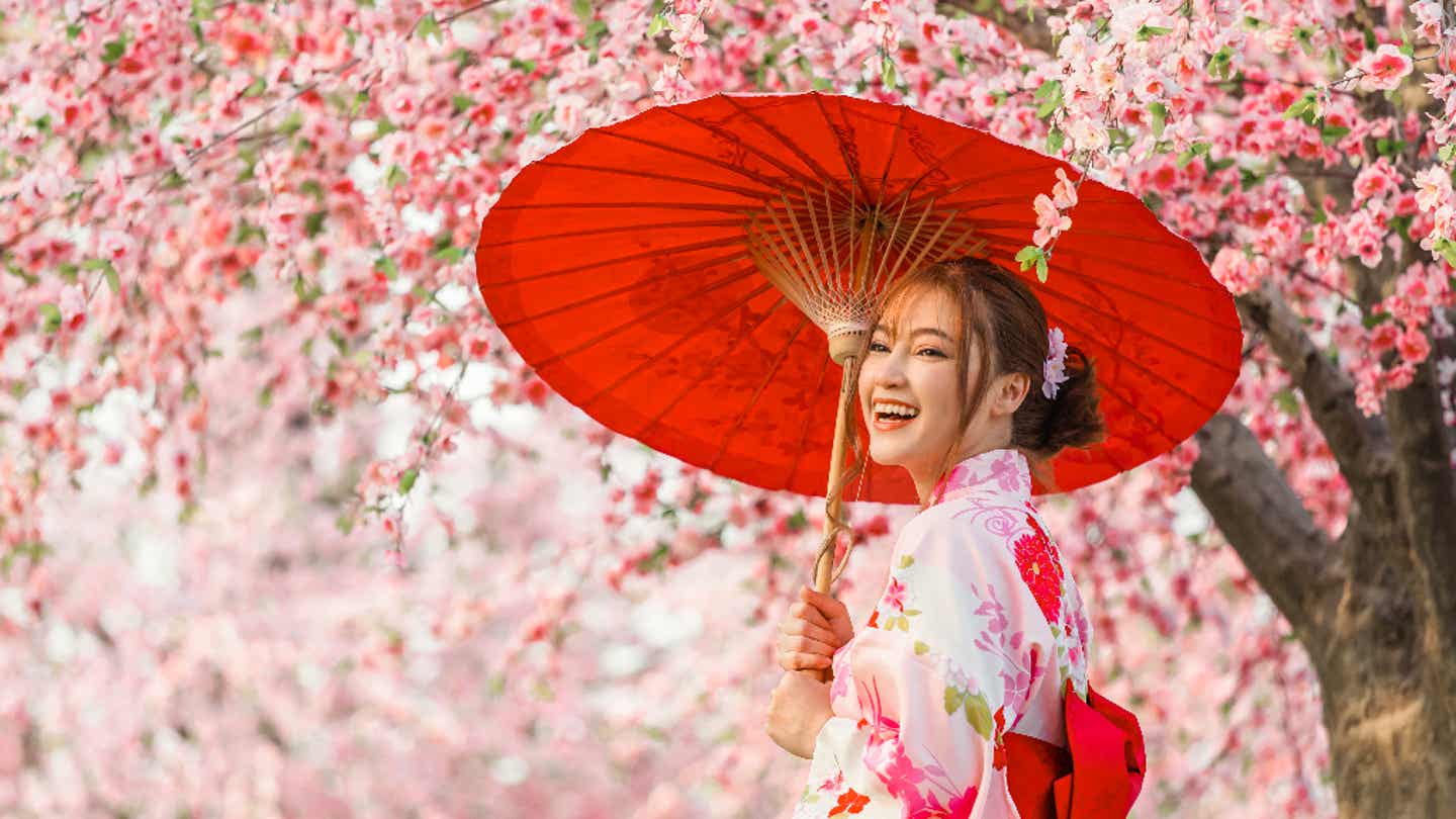 Frau im Yukata mit rotem Schirm unter Kirschblüten – klassische Szene zur Sakura-Zeit in Japan