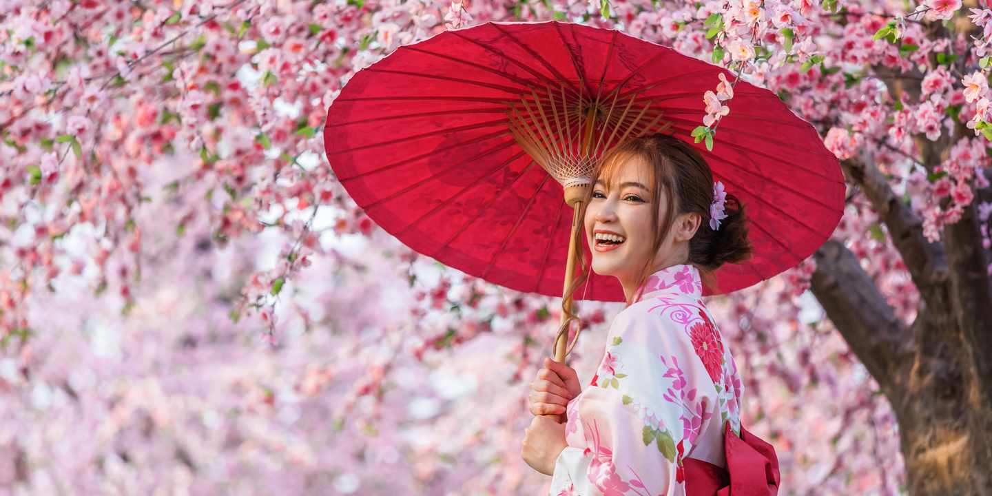 Frau im Yukata mit rotem Schirm unter Kirschblüten – klassische Szene zur Sakura-Zeit in Japan