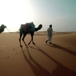 Hotels in den Vereinigten Arabischen Emiraten