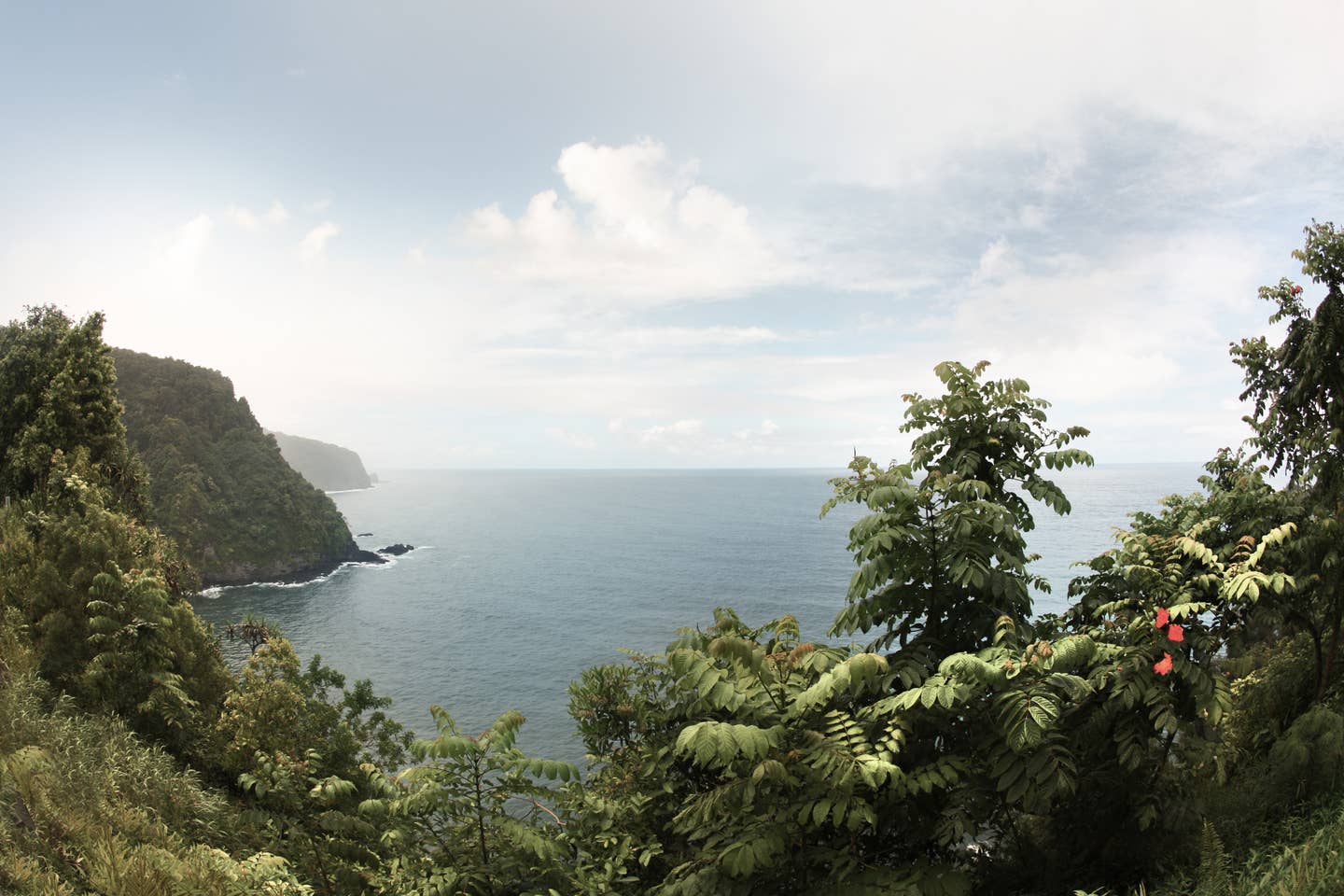 Maui Urlaub mit DERTOUR. Blick auf den Pazifik von der Road to Hana auf Maui