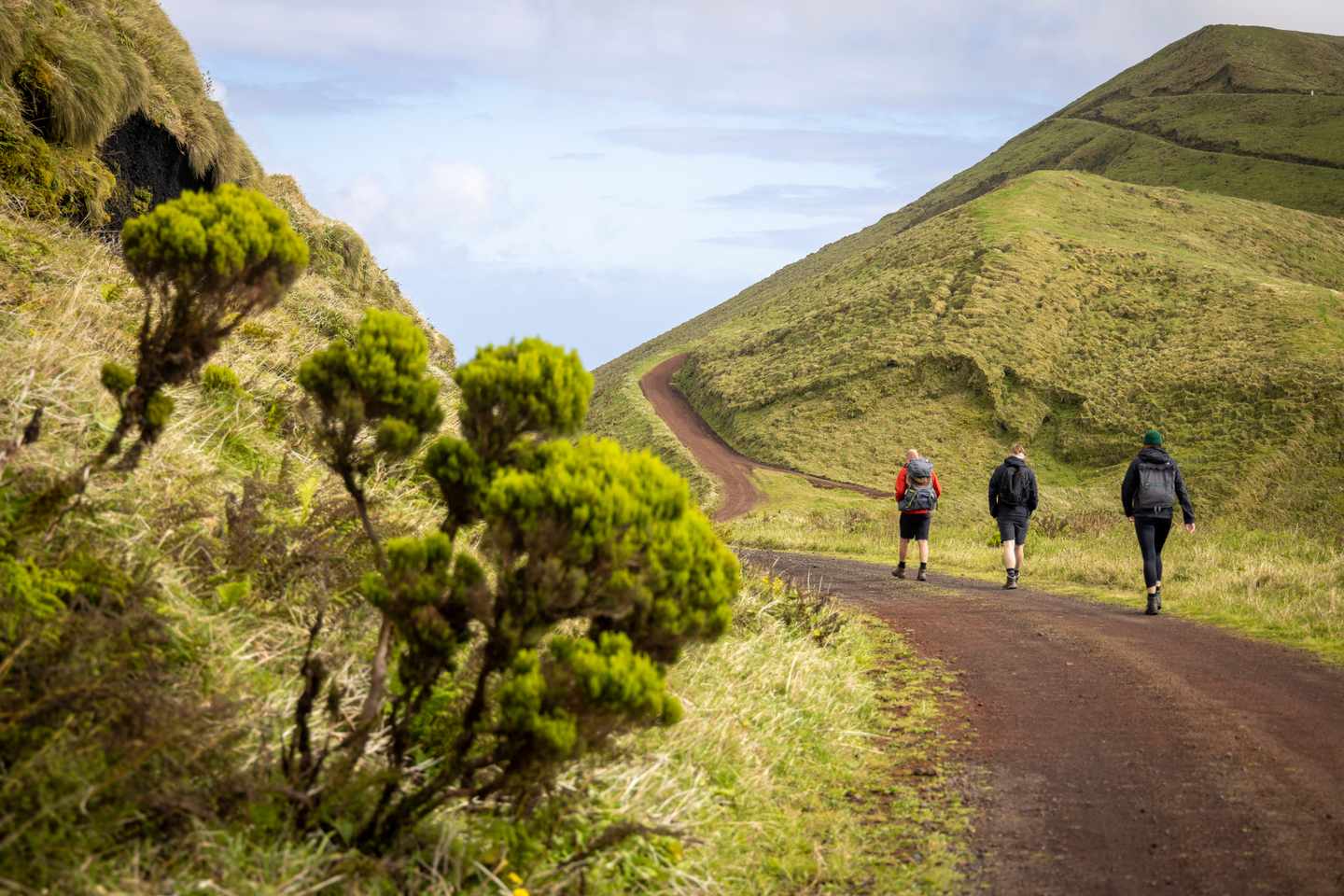 Aussichtspunkt Lagoa Das Sete Cidades in São Miguel