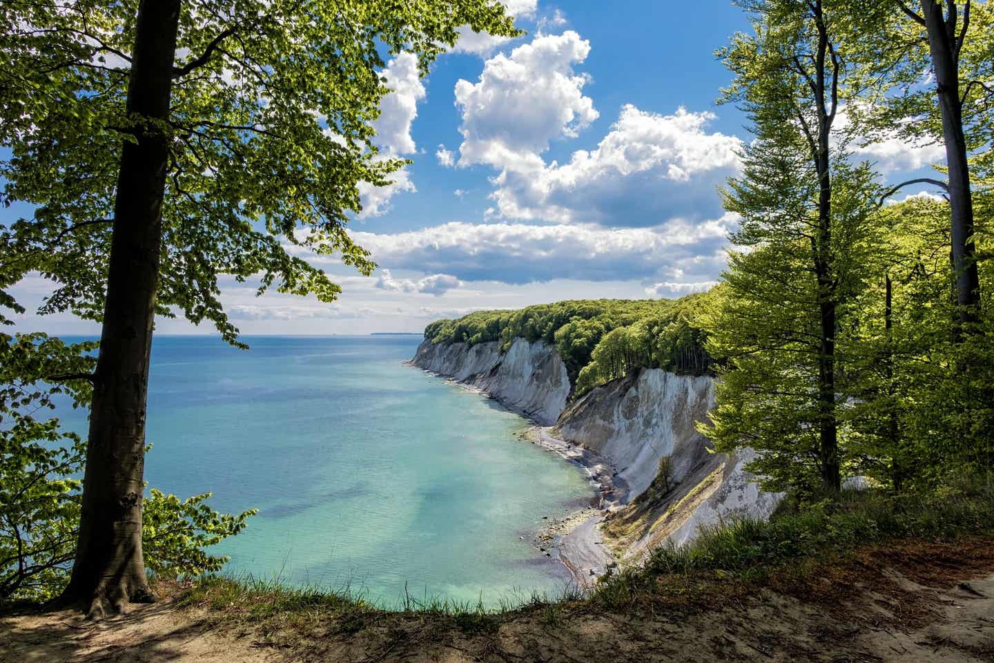 Perfektes Fotomotiv: die Kreidefelsen von der Viktoria-Sicht aus