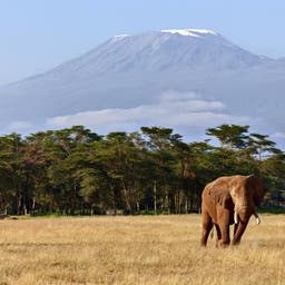 Pauschalreisen Kenia