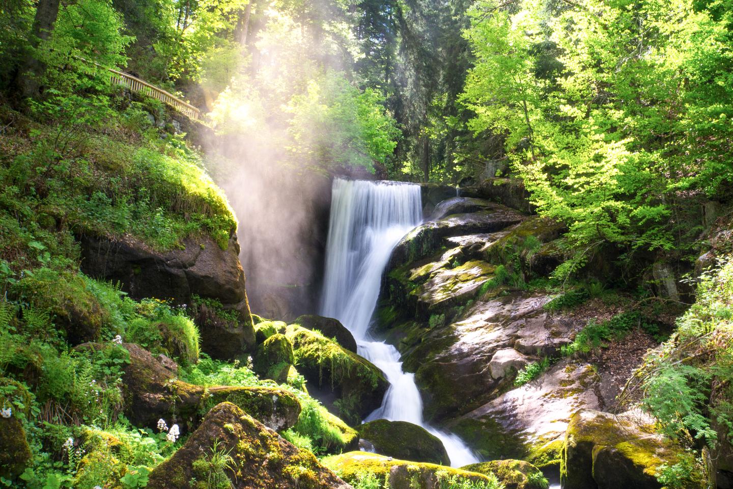 Sehenswürdigkeiten im Schwarzwald: Triberg Wasserfall mit Dampf und Sonnenschein