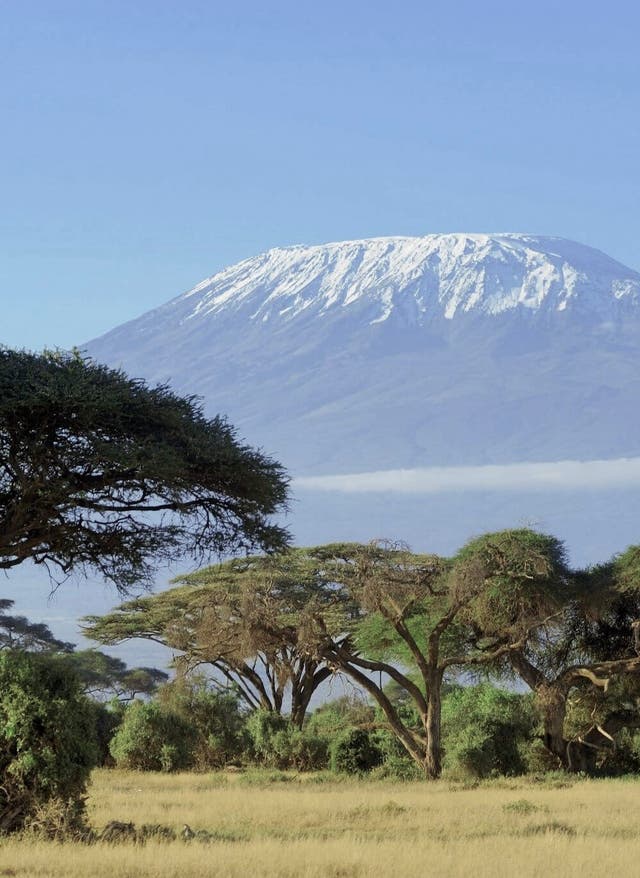 Zur Safari Amboseli Nationalpark Blick auf Kilimandscharo