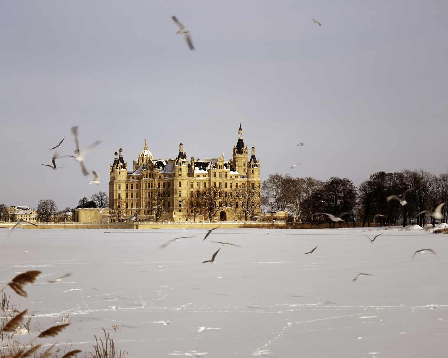 Mecklenburgische Seenplatte Urlaub mit DERTOUR. Das Schloss von Schwerin im Winter