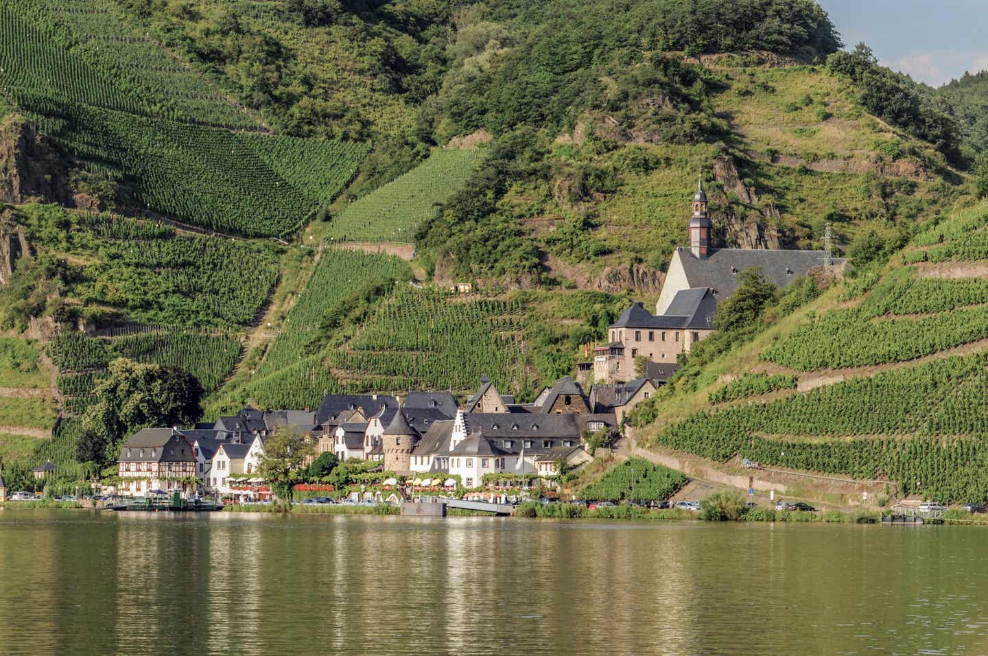 Mosel Urlaub mit DERTOUR. Dorf Beilsteinon von der Mosel aus fotografiert. Kirche und Häuser inmitten von Weinbergen.