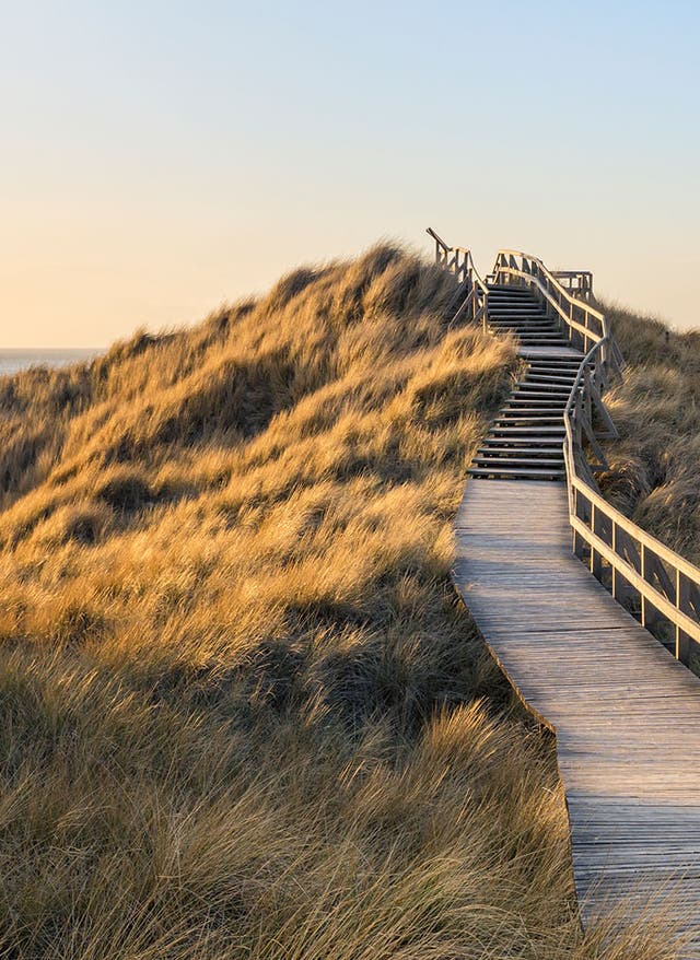 Tagesausflug Nordsee Eine Treppe durch die Dünen Amrums