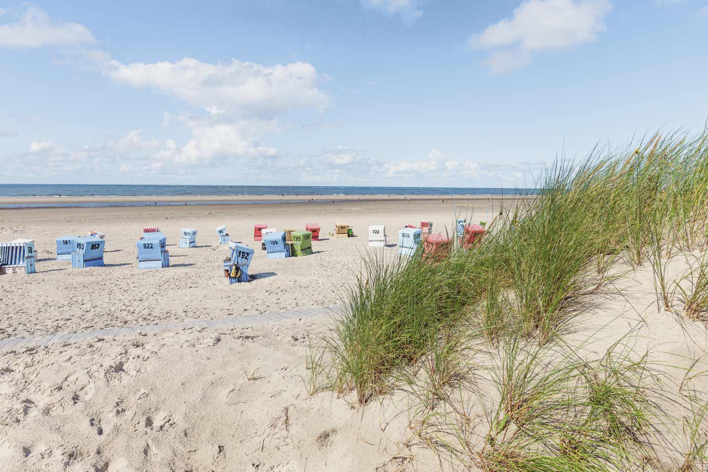 Dünen und Strandkörbe im Nordsee-Urlaub auf Langeoog