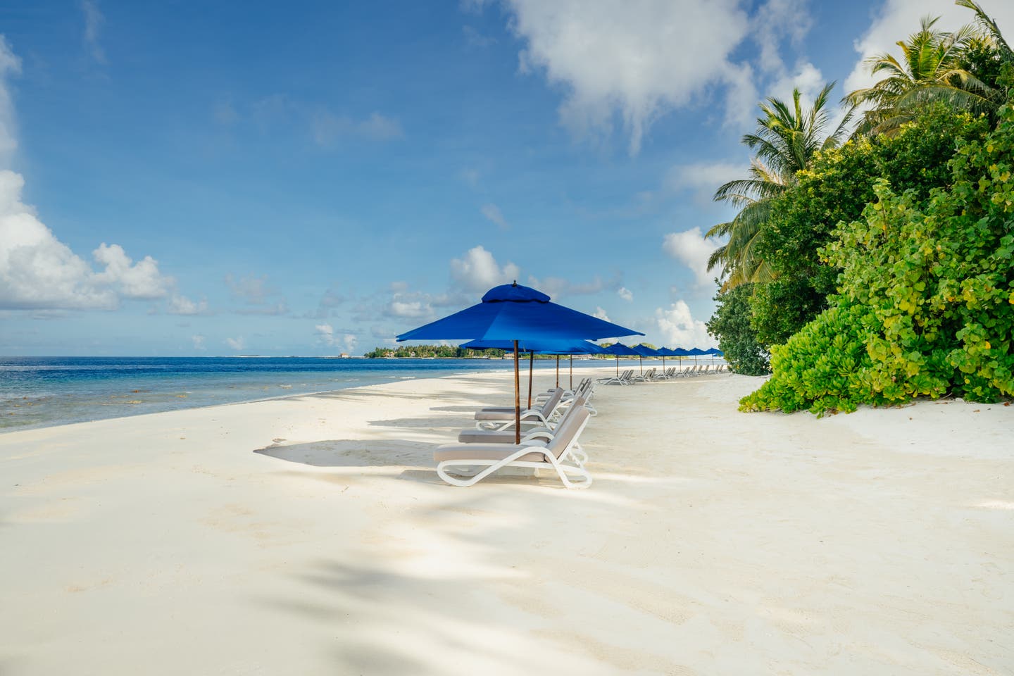 Weißer Sandstrand vor Palmen