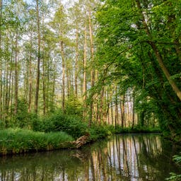 Hotel Lübbenau Spreewald