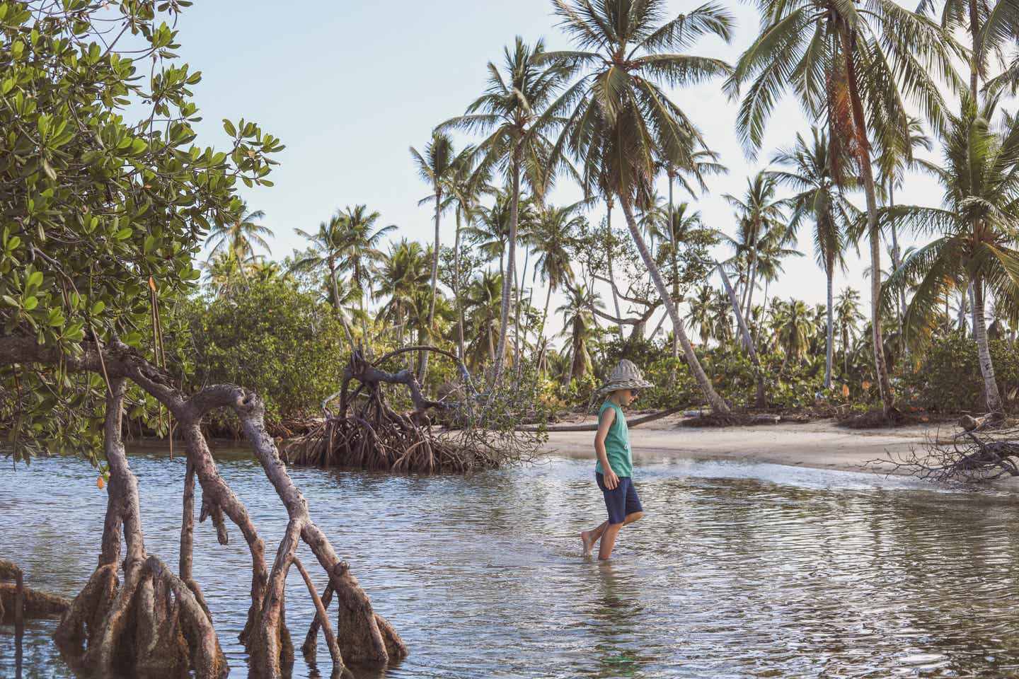 Samana Urlaub mit DERTOUR. Junge läuft durch seichtes Wasser zwischen Mangroven in El Portillo, Samana