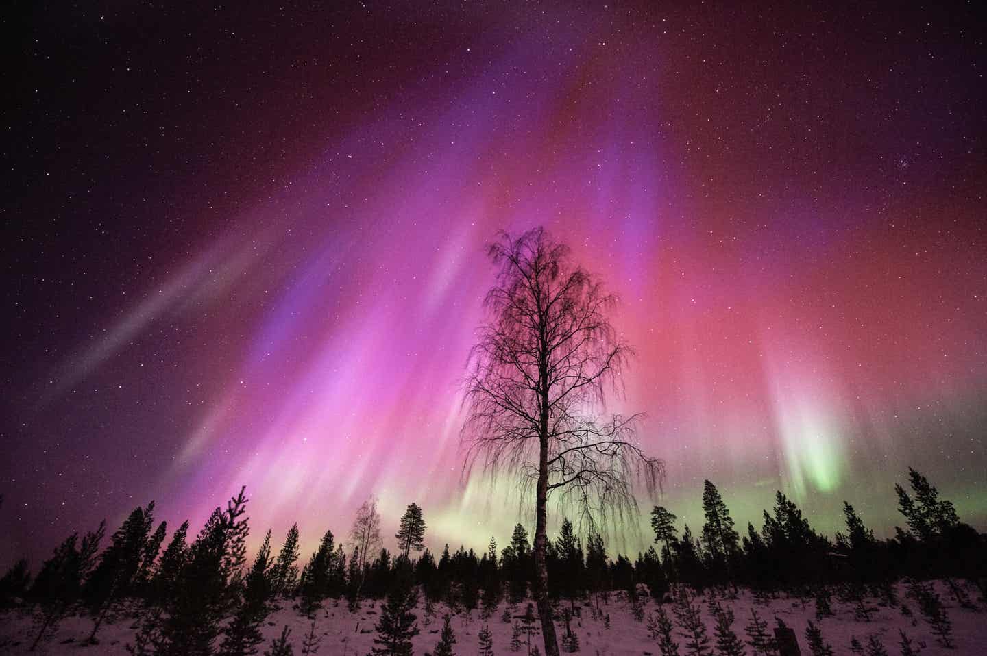 Schweden Urlaub mit DERTOUR. Bunte Polarlichter am Himmel über Skandinavien