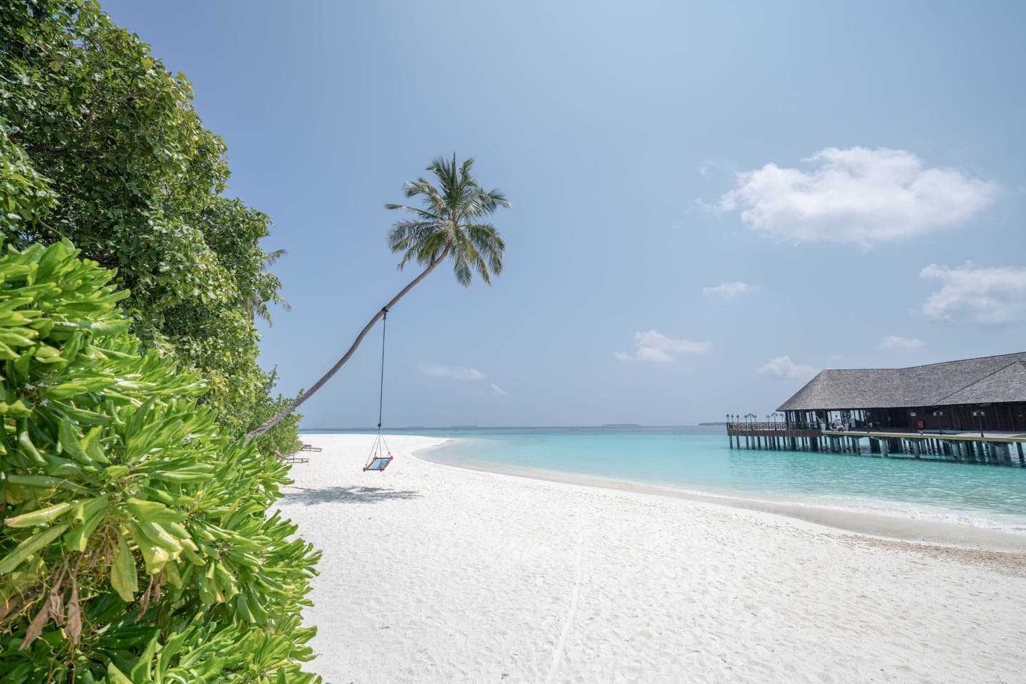 Strand mit Palme und Hängematte