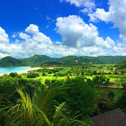 indonesien-lombok-dschungel-klein-g-696105010.jpg