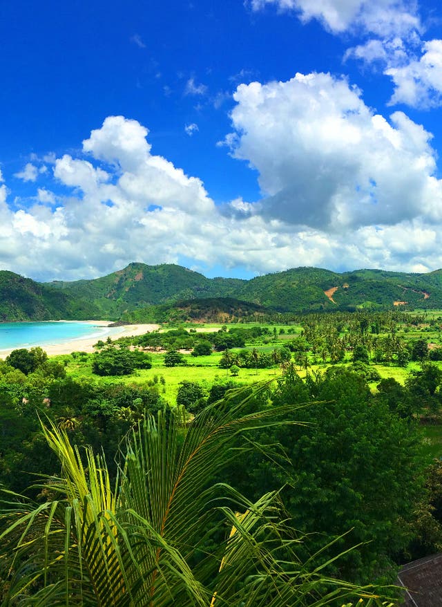 Lombok Urlaub Lombok – Dschungellandschaft