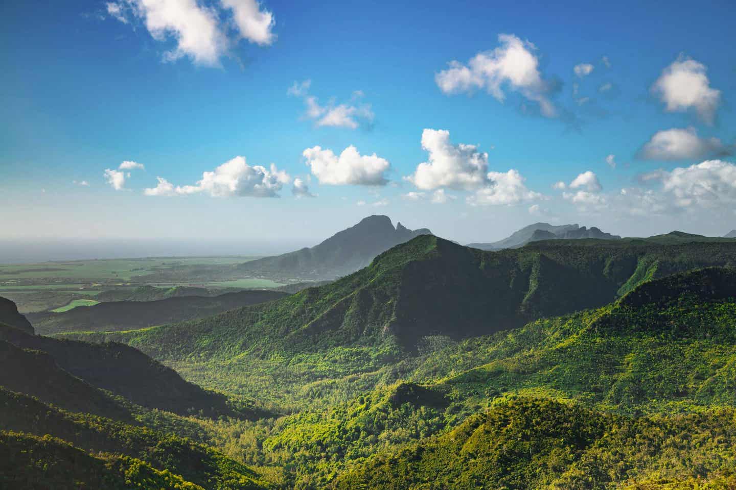 Mauritius Insider Tipps: Black River Gorges Nationalpark