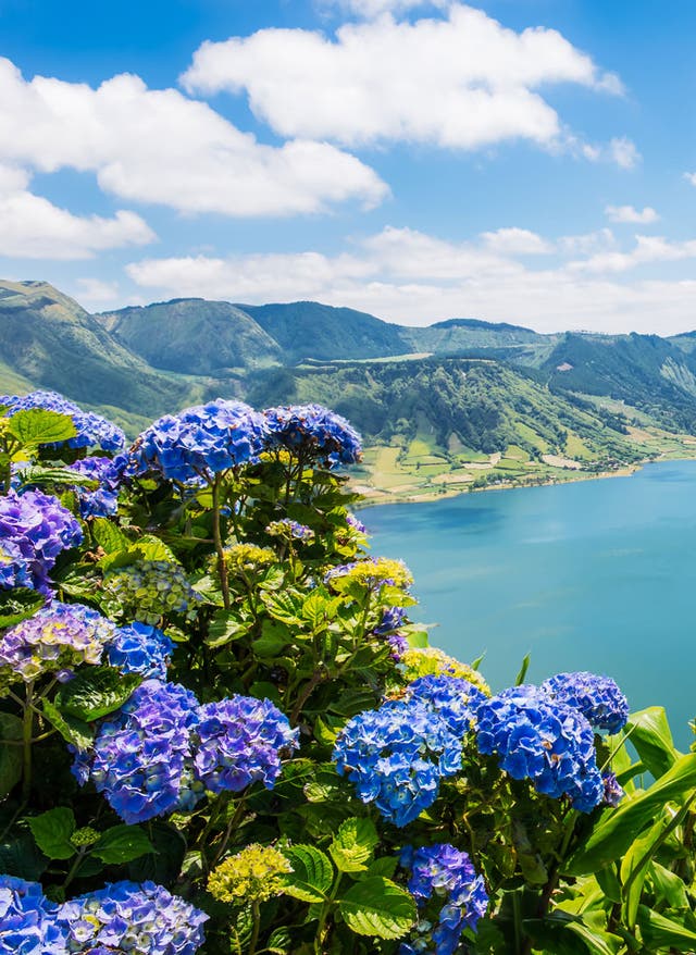 Last Minute auf die Azoren Azoren Sao Miguel